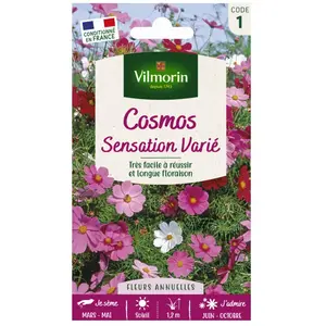 VILMORIN Cosmos Sensation varié pas cher