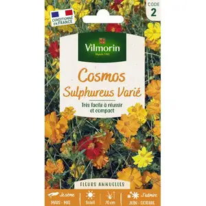 VILMORIN Cosmos Sulphureus varié pas cher
