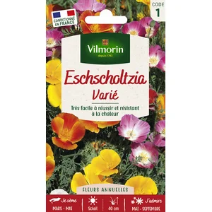 VILMORIN Eschscholtzia de Californie varié pas cher