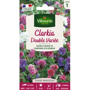 VILMORIN Clarkia élégant double varié pas cher