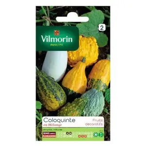 VILMORIN Coloquinte en mélange pas cher