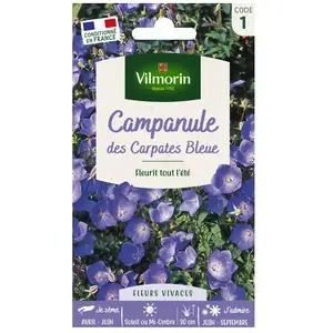 VILMORIN Campanule des Carpathes bleue pas cher