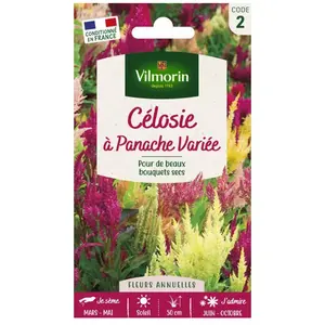Vilmorin - Célosie à panache varié Vilmorin pas cher