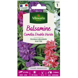 VILMORIN Balsamine Camelia double variée pas cher