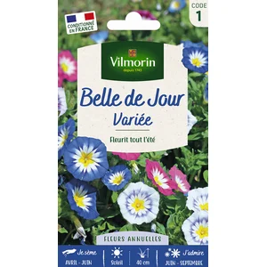 VILMORIN Belle de jour variée pas cher