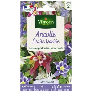 VILMORIN Ancolie étoile variée pas cher