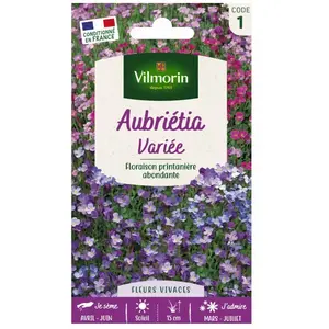 VILMORIN Aubrietia varié pas cher