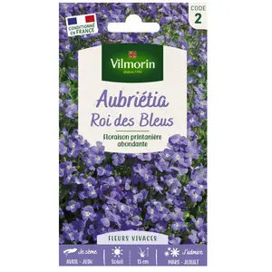 VILMORIN Aubrietia Roi des bleus pas cher
