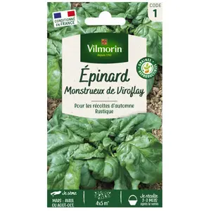 VILMORIN Epinard monstrueux de Viroflay pas cher