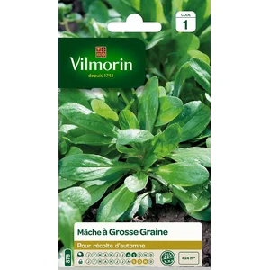 VILMORIN Mâche a grosse graine pas cher