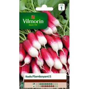 VILMORIN Radis Flamboyant pas cher