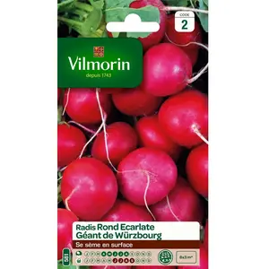 VILMORIN Radis rond ecarlate géant de Wurzbourg pas cher