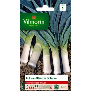 VILMORIN Sachet graines de poireau bleu de Solaise