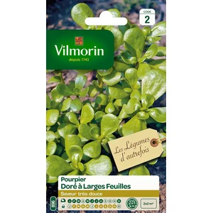 VILMORIN Pourpier doré à large feuille pas cher