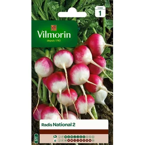 VILMORIN Radis National pas cher