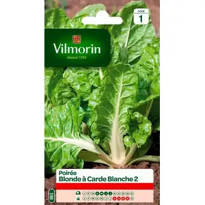 VILMORIN Poirée blonde à carde blanche 2 Blonde de Lyon pas cher