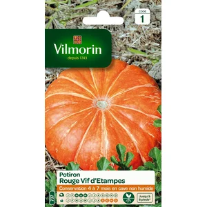 VILMORIN Sachet graines de Potiron vif d'Etampes