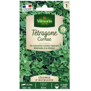 VILMORIN Tétragone cornue pas cher