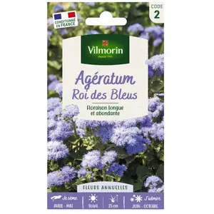 VILMORIN Ageratum Roi des Bleus pas cher
