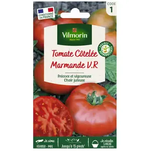 VILMORIN Tomate Marmande Sachet de graines