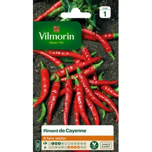 VILMORIN Piment de Cayenne pas cher