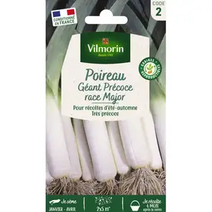 VILMORIN Poireau geant precoce race Major pas cher