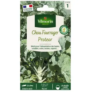 VILMORIN Chou fourrager Proteor Obtention INRA pas cher