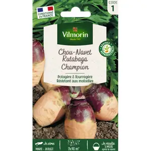 VILMORIN Rutabaga jaune à collet rouge