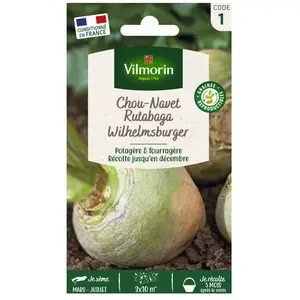 VILMORIN Rutabaga jaune à collet vert