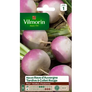 Vilmorin - Navet-Légume Rave d'Auvergne Tardive à Collet Rouge pas cher