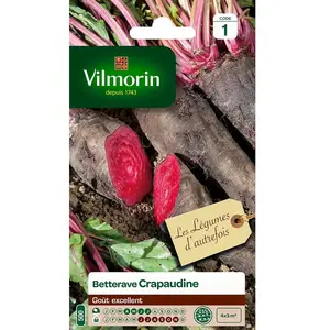 VILMORIN Betterave rouge crapaudine pas cher