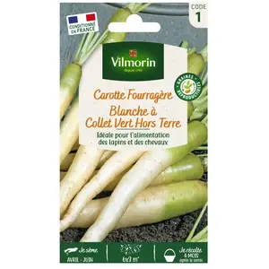 VILMORIN Carotte Fourragère blanche a collet vert hors terre pas cher