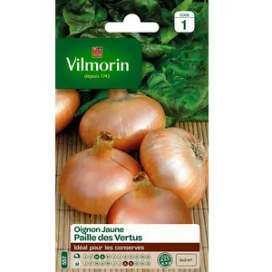 VILMORIN Oignon jaune paille des Vertus