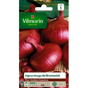 VILMORIN Oignon rouge de Brunswick pas cher