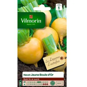 VILMORIN Navet jaune Boule d Or pas cher