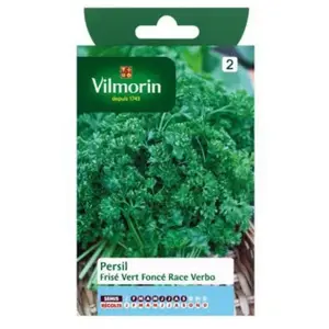 Graines De Chou Brocoli Romanesco Précoce Vilmorin - Variété à Pomme Pyramidale - Saveur Fine - Semis De Mars à Juillet