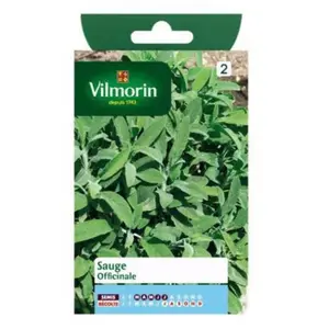 Graines de sauge variété "Officinale" Vilmorin semis de mars à juillet