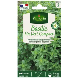 VILMORIN Sachet graines de Basilic fin vert pas cher