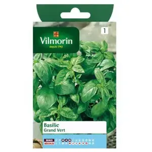 Graine - Vilmorin - Basilic Grand Vert