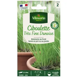 VILMORIN Sachet graines de Ciboulette danoise très fine