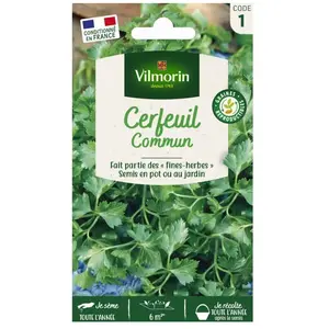 Vilmorin Graines De Cerfeuil Variété "Commun" Vilmorin Semis Toute L'année pas cher