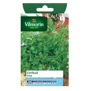 VILMORIN Cerfeuil frisé pas cher