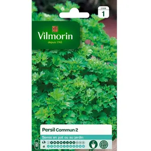VILMORIN Persil commun 2 officinal pas cher