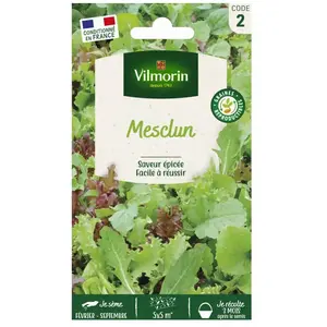 Vilmorin 3680042 Mesclun Vert/Rouge 9 x 0,5 x 16 cm
