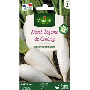 Navet de Croissy - VILMORIN - Graine - Variété précoce, rustique et productive pas cher