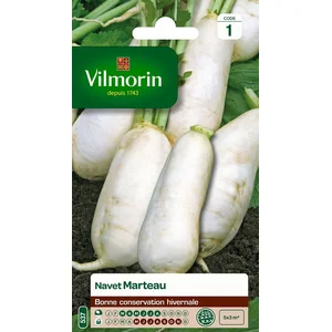 VILMORIN Navet Marteau pas cher