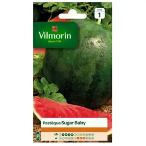 VILMORIN Pasteque Sugar Baby pas cher