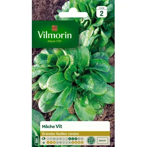 VILMORIN Mâche Vit pas cher