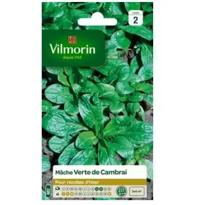 VILMORIN Mâche verte de Cambrai pas cher
