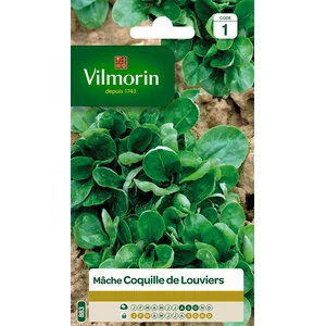 VILMORIN Mâche verte de Louviers